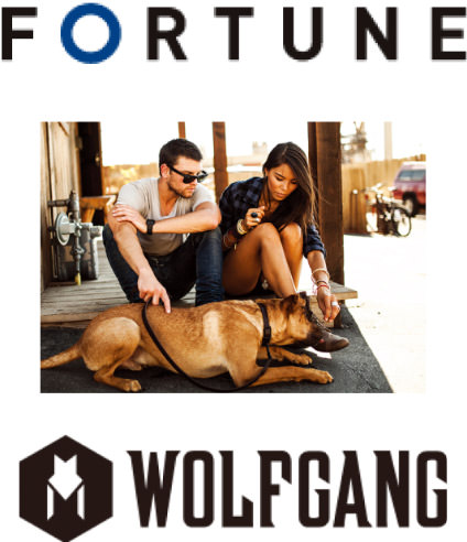 FORTUNE WOLFGANG ブランドイメージ